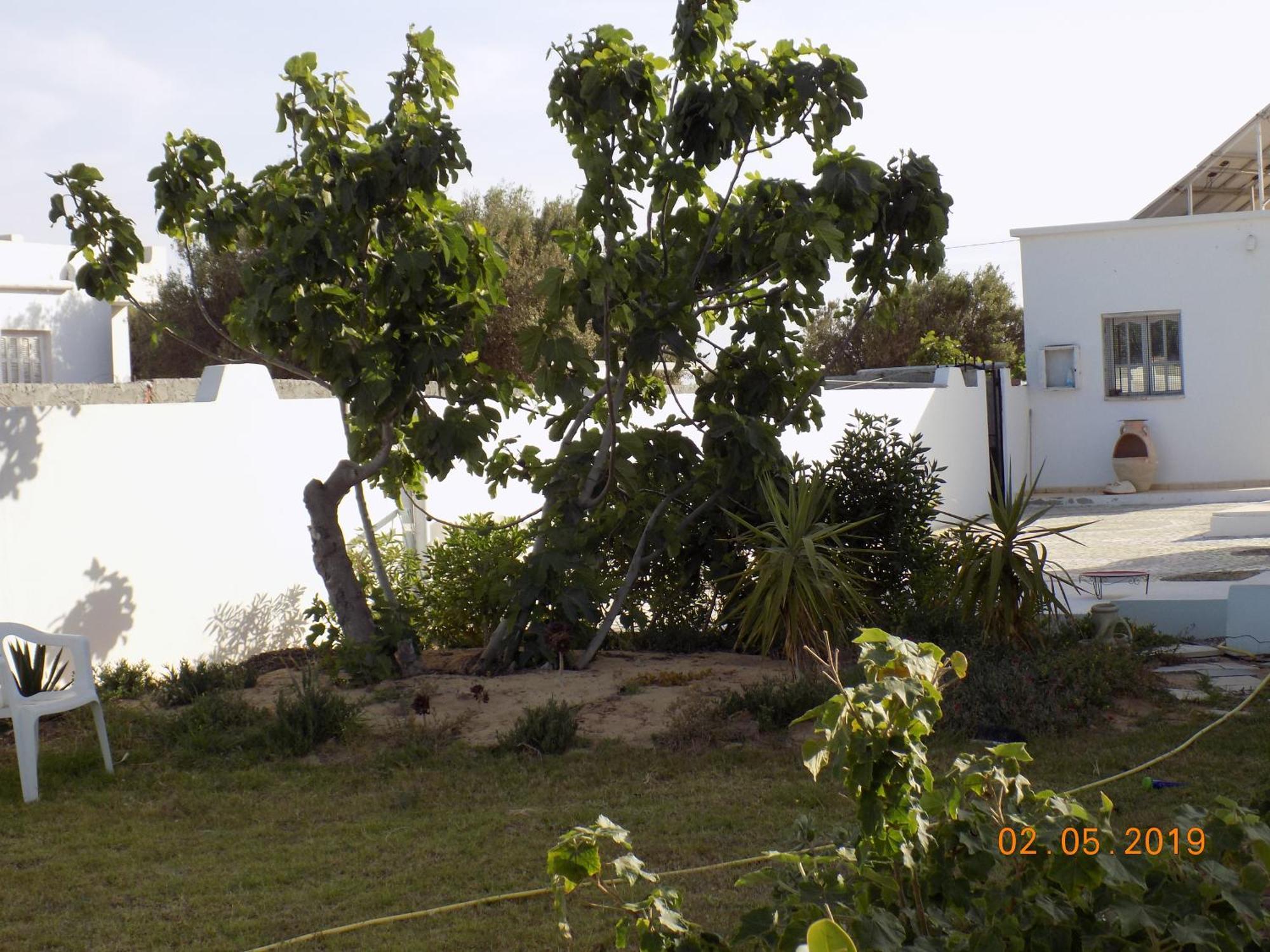 Dar Mamina Bed and Breakfast Sidi ash Shammakh Exteriör bild