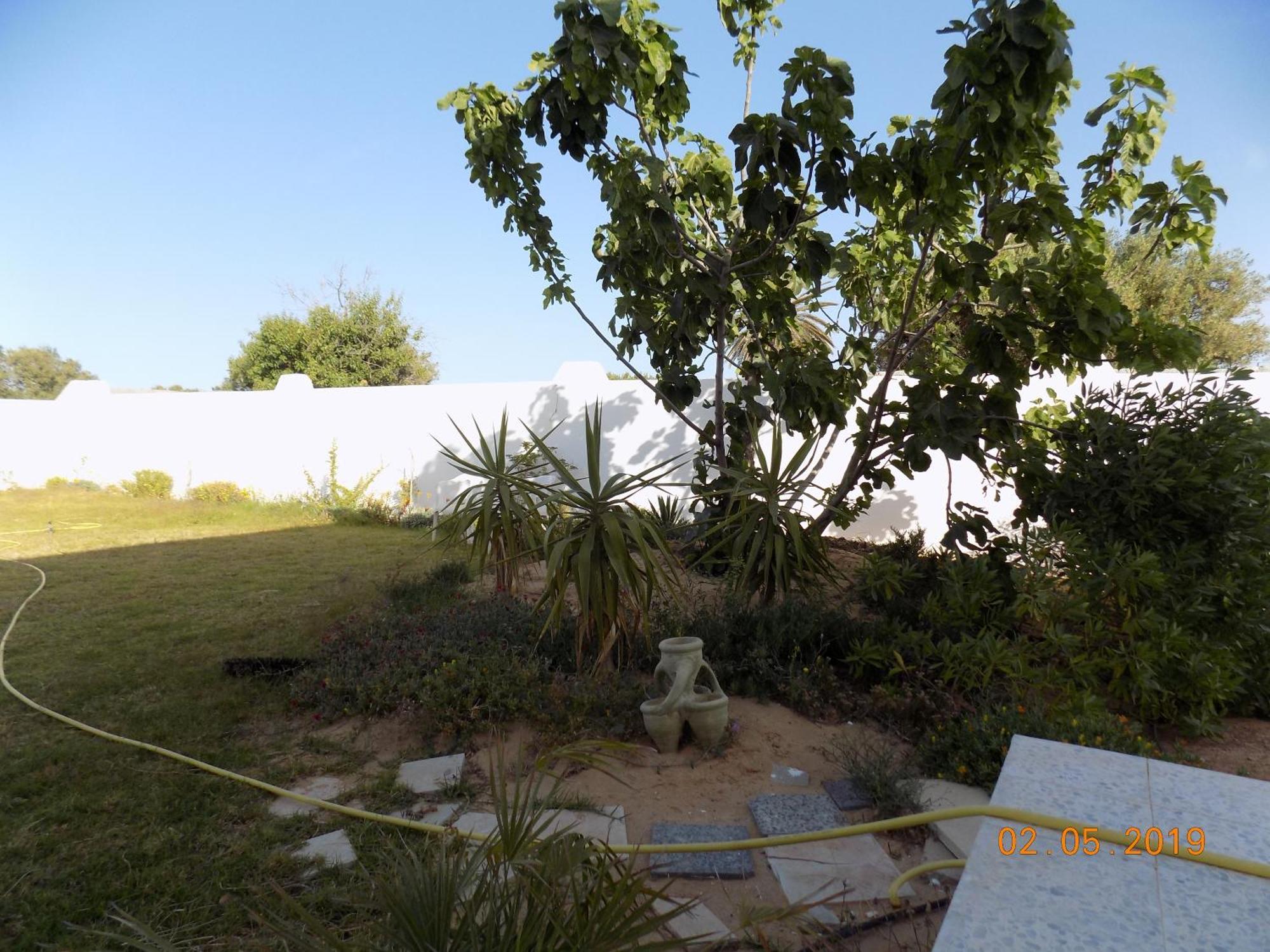 Dar Mamina Bed and Breakfast Sidi ash Shammakh Exteriör bild