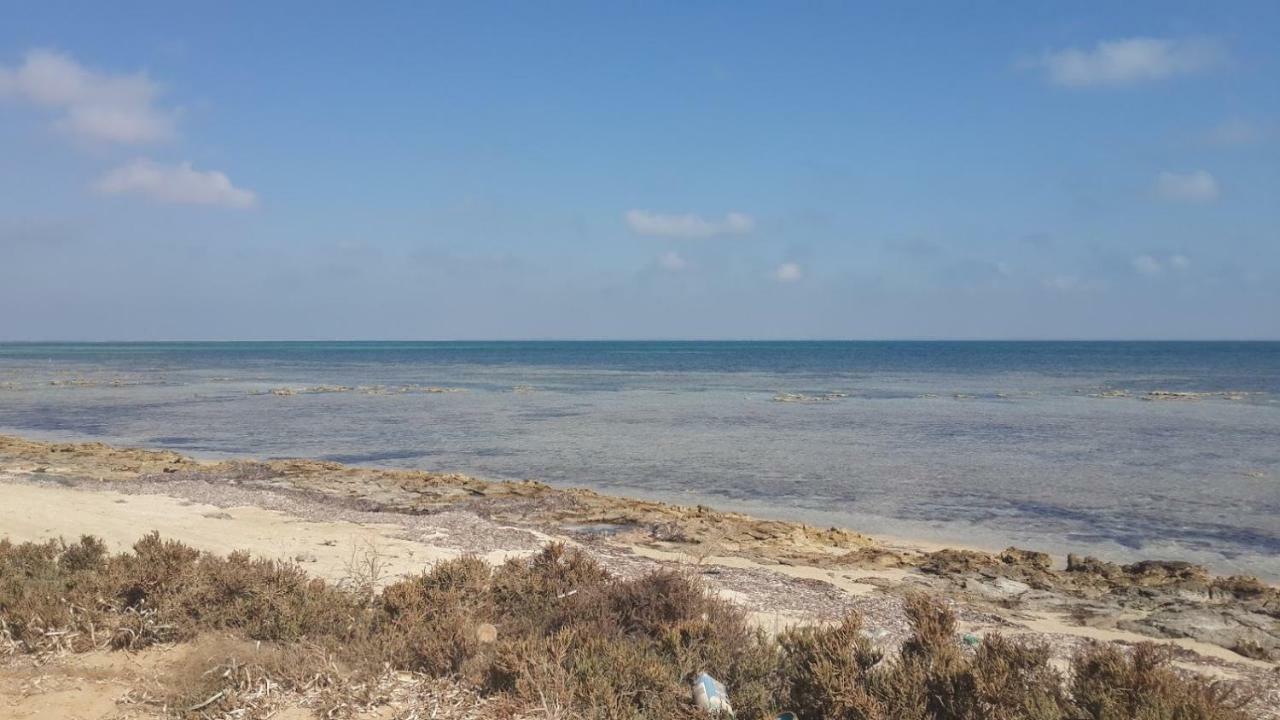 Dar Mamina Bed and Breakfast Sidi ash Shammakh Exteriör bild