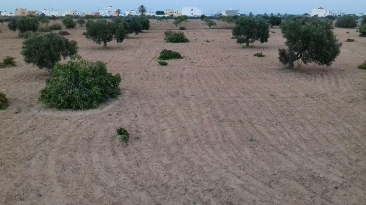 Dar Mamina Bed and Breakfast Sidi ash Shammakh Exteriör bild