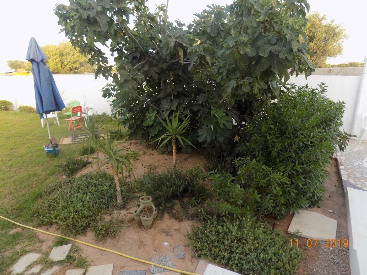 Dar Mamina Bed and Breakfast Sidi ash Shammakh Exteriör bild