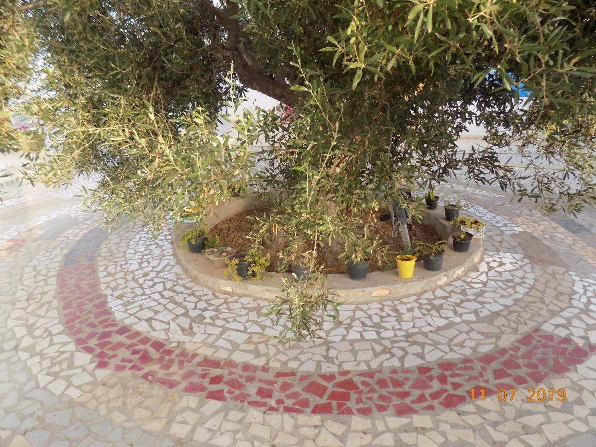 Dar Mamina Bed and Breakfast Sidi ash Shammakh Exteriör bild