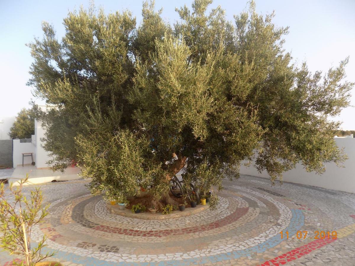 Dar Mamina Bed and Breakfast Sidi ash Shammakh Exteriör bild